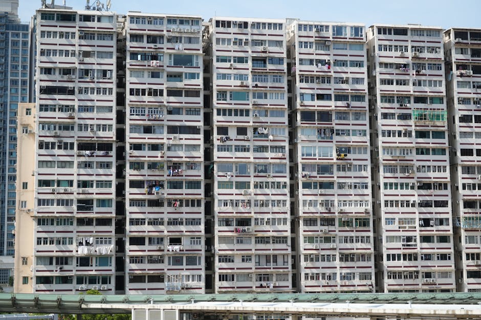 自住住宅判定條件不符，小心稅負風險！首次購房必學：避開補稅陷阱，守住自住優惠！