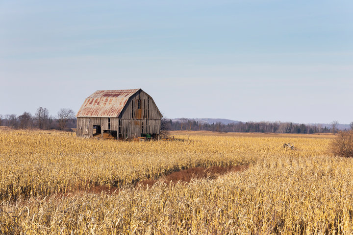 買農地蓋農舍，你需要知道的資格、法規與流程：2025全攻略