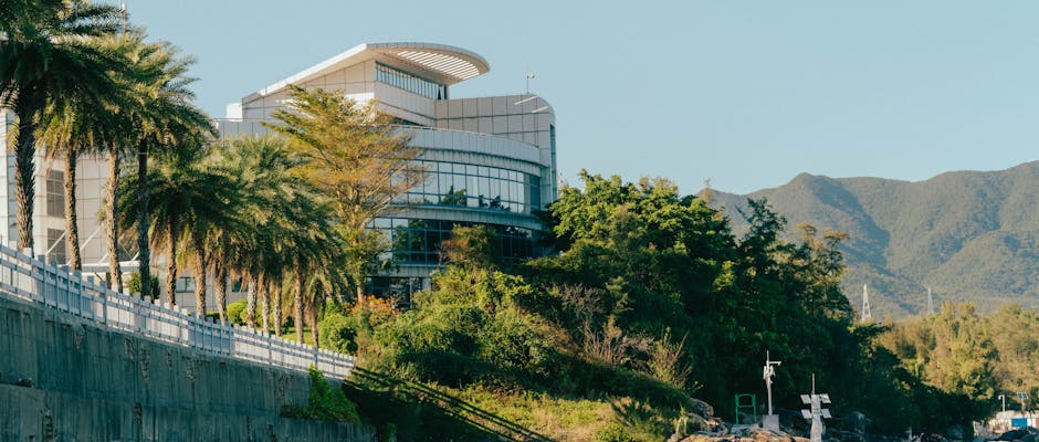 法拍屋競標流程與估價風險：高效避險攻略，完整教學助您安全購屋