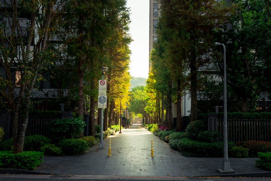 房市區域熱度與人口遷入率之關聯分析：三重、青埔、北屯，房價飆漲背後的秘密！