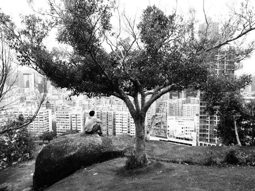 城市農夫的屋頂花園：從防水、結構承重到土壤選擇的實踐手冊，打造永續綠色空間