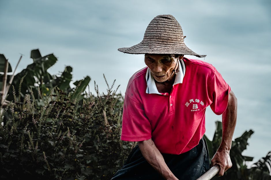 跨境匯款、數位帳戶省手續費技巧：國際金融顧問教你聰明省錢指南