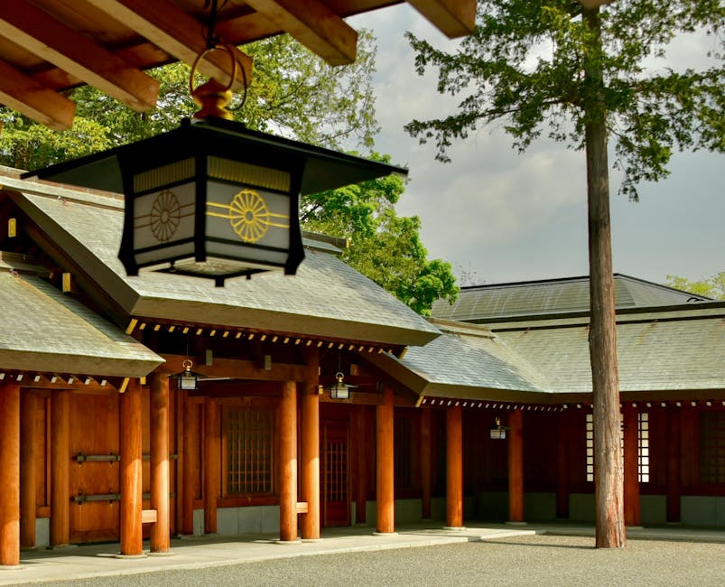 保富國際：深度解讀財商教育品牌，助你高效掌握財富密碼