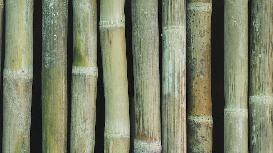 如何打造多元收入來源強化財務抗壓性？必學攻略：兼職+被動收入雙軌並行！