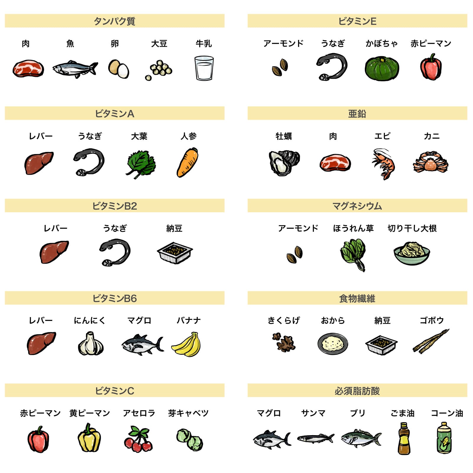 食生活が肌の健康に与える影響｜美肌のための効率的栄養ガイド