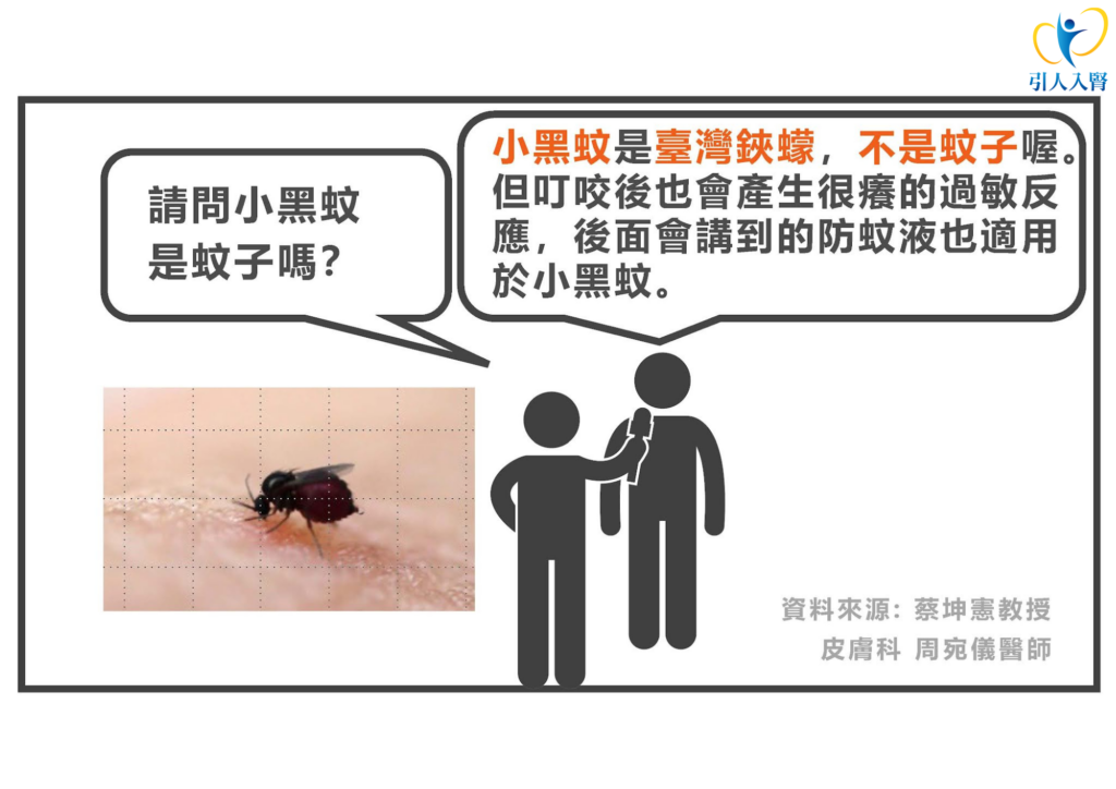 蚊子叮咬可用凡士林嗎？皮膚科醫師專業解答