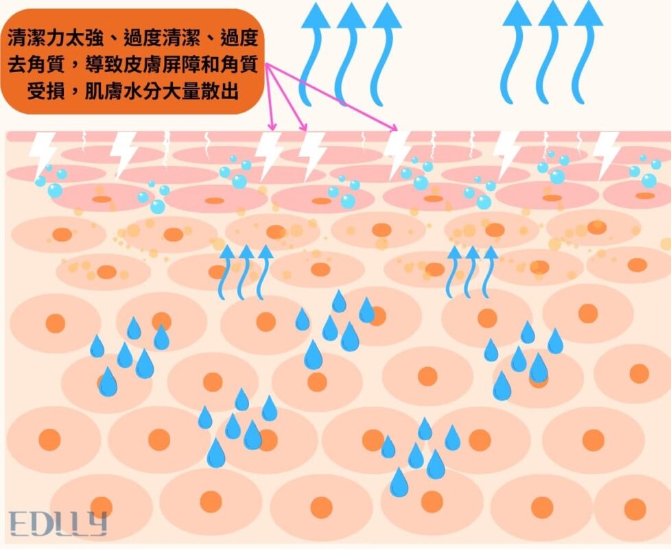 過度清潔肌膚的嚴重後果：破壞肌膚天然屏障，導致乾燥敏感