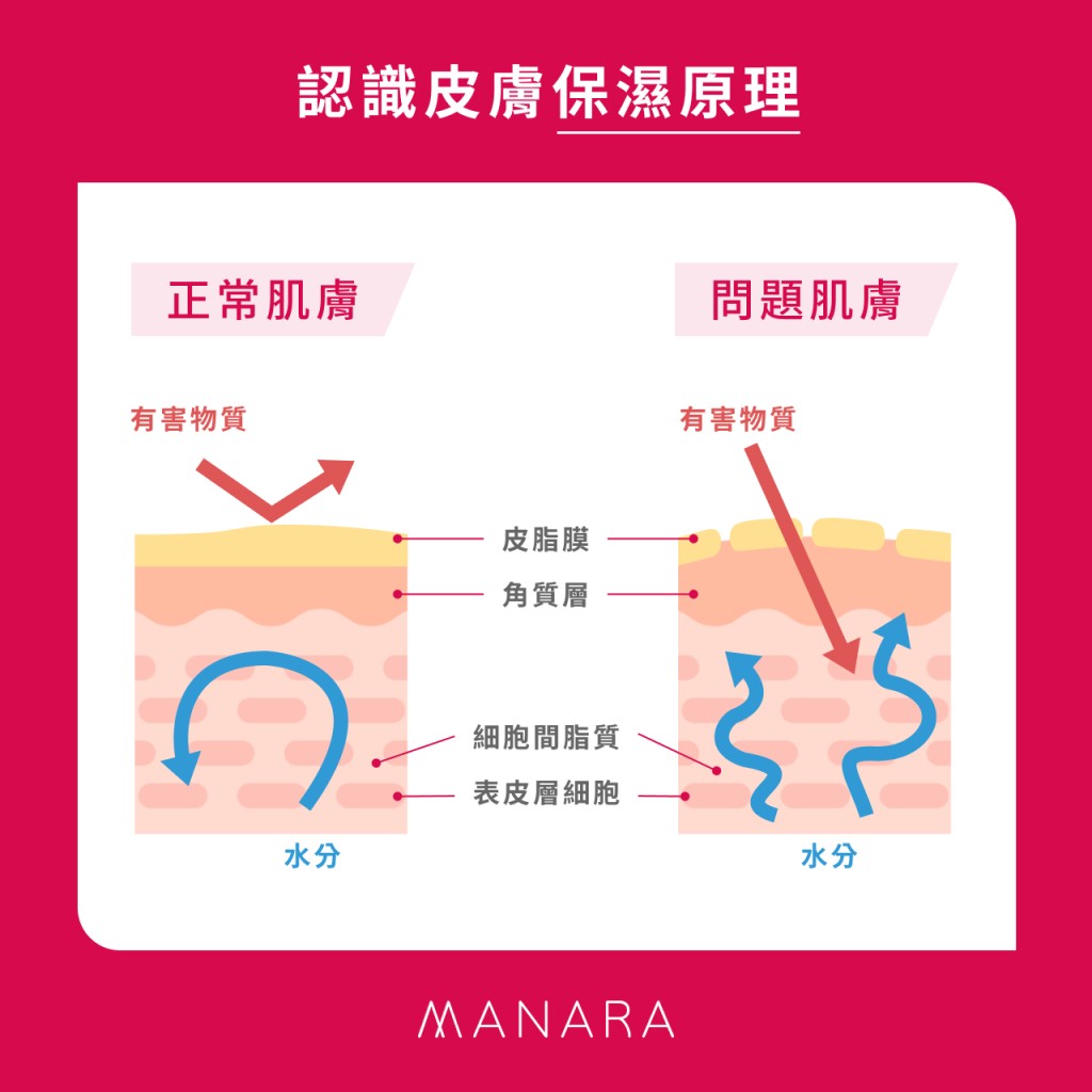 保濕的重要性與步驟：打造健康透亮的肌膚