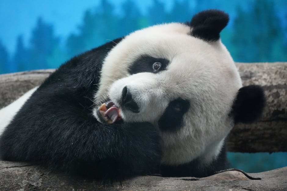 幼兒園新生必備物品清單：姓名貼、睡袋、餐碗，這樣準備不NG！