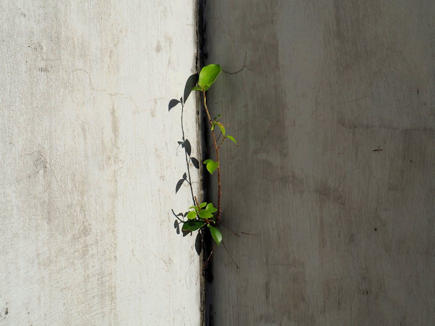 如何成功斷奶不塞奶？從親餵畢業的溫和離乳計畫與退奶食物指南