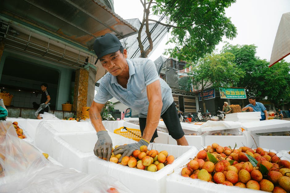 產地直送水果團經營秘訣：應對天氣、熟度與運損，確保新鮮到家！