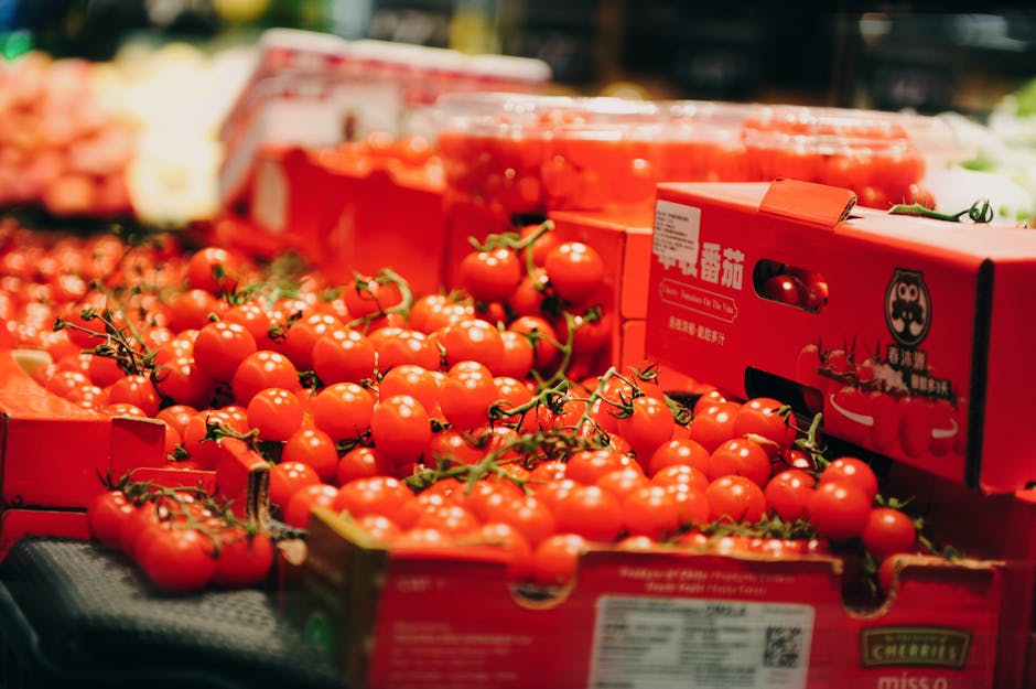 生鮮食材團購物流保存經驗分享：掌握冷鏈關鍵，提升團購品質
