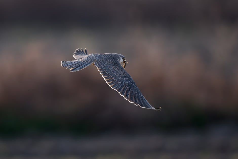 群眾集資行銷模式+團購倉儲對接:新品牌高效獲客與物流整合秘訣
