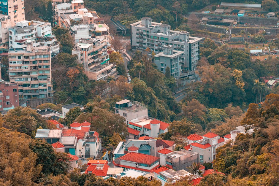 買房的「資訊焦慮症」：如何有效過濾資訊，做出不後悔的買房決定？