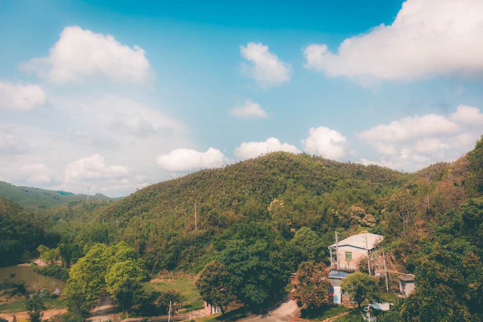 房貸寬限期優缺點與適用對象分析：購房必學！助你聰明避坑