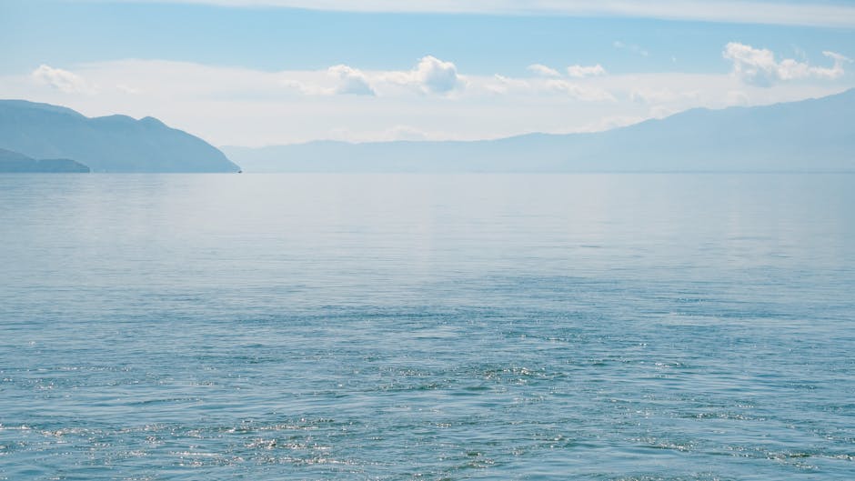 租房後發現問題怎麼辦？租屋糾紛處理流程解析：保障你的權益！