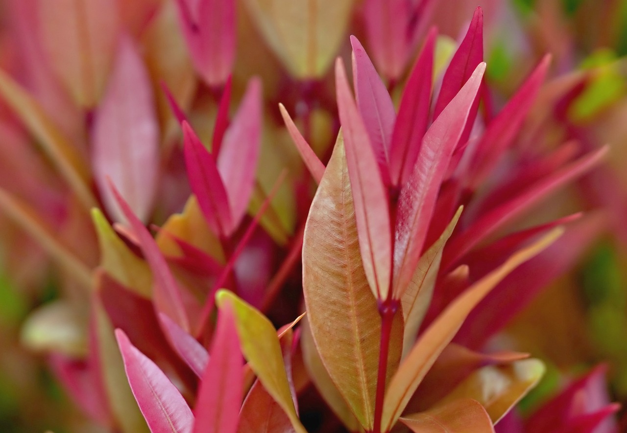 寶寶耳溫槍和額溫槍的選購與使用技巧：新手爸媽必學的體溫監測完整教學