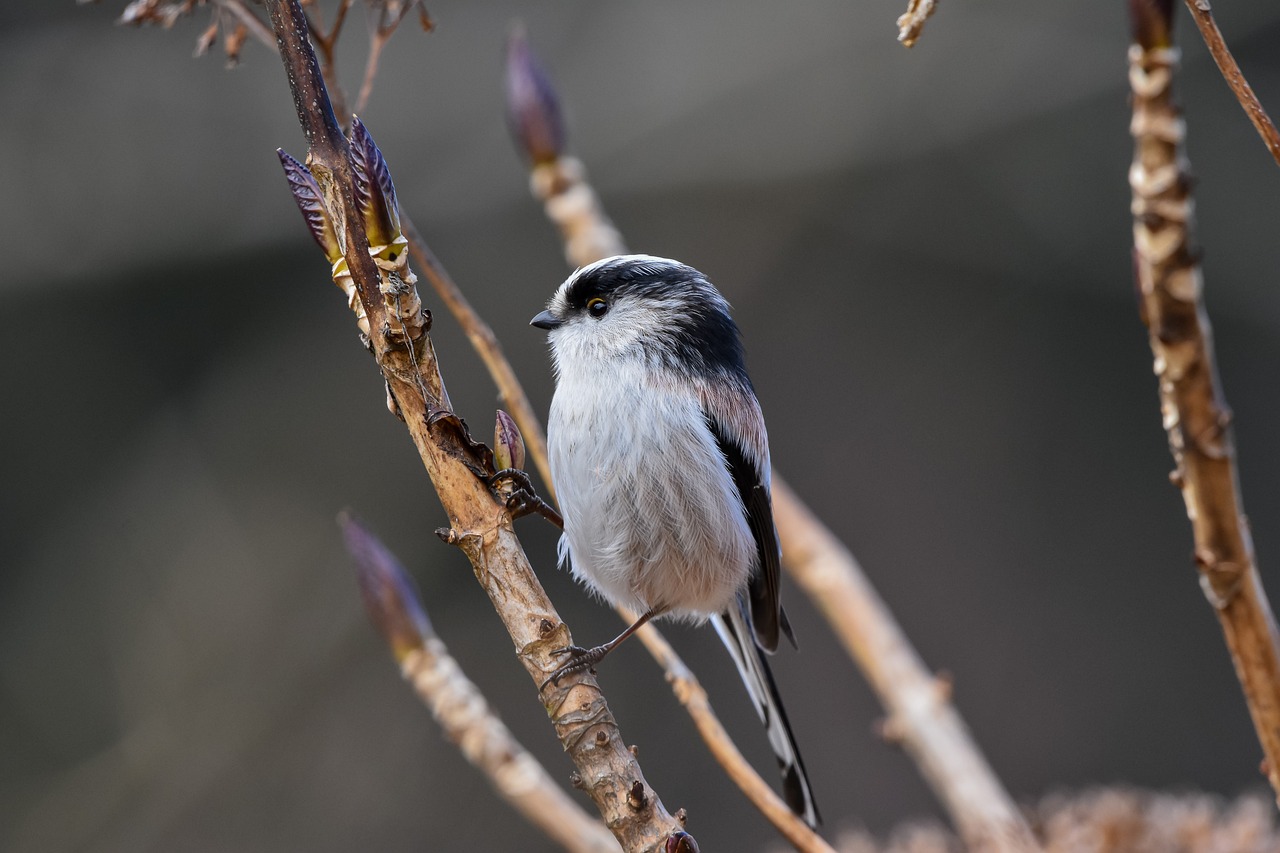 新生兒冬季保暖用品選購指南！讓寶寶不再怕冷！完整教學與實用技巧