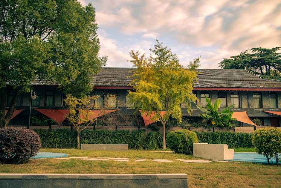 祖孫共育，三代同堂親子關係建立：樂享天倫，破解教養難題