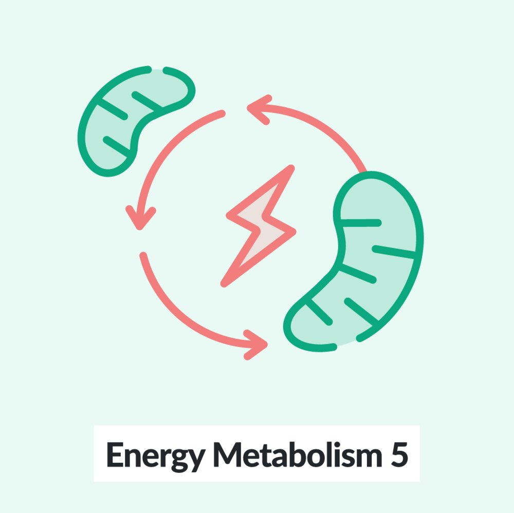 果乾水如何影響代謝？果酸和天然酵素，促進消化與提升效率