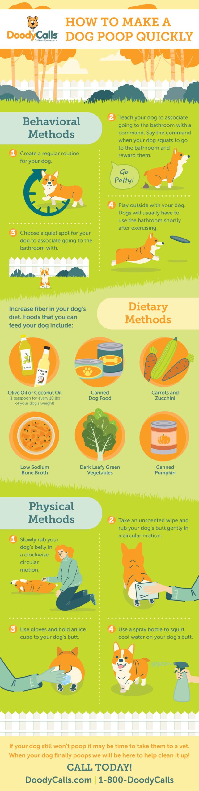 果乾水與腸道健康的關係：高效改善腸道機能的完整教學