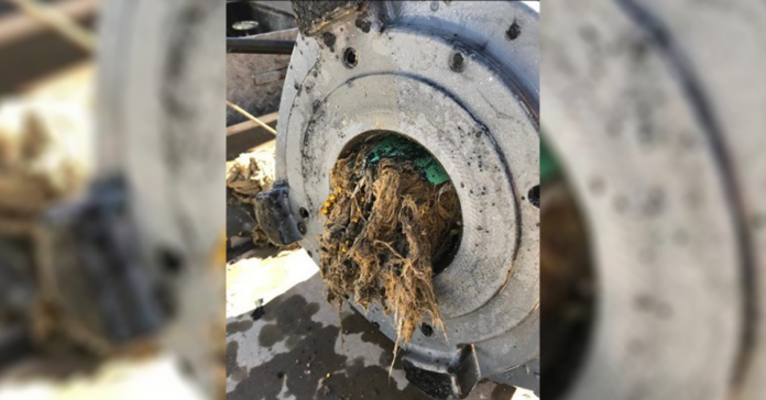 果乾水如何改善便秘？營養師完整教學及注意事項