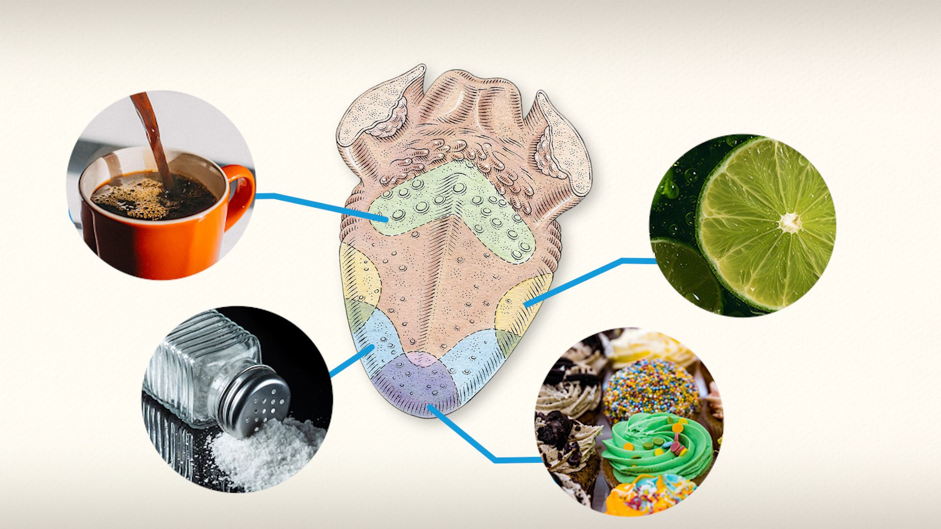 果乾水達人教你！加冰塊，果乾水更添風味
