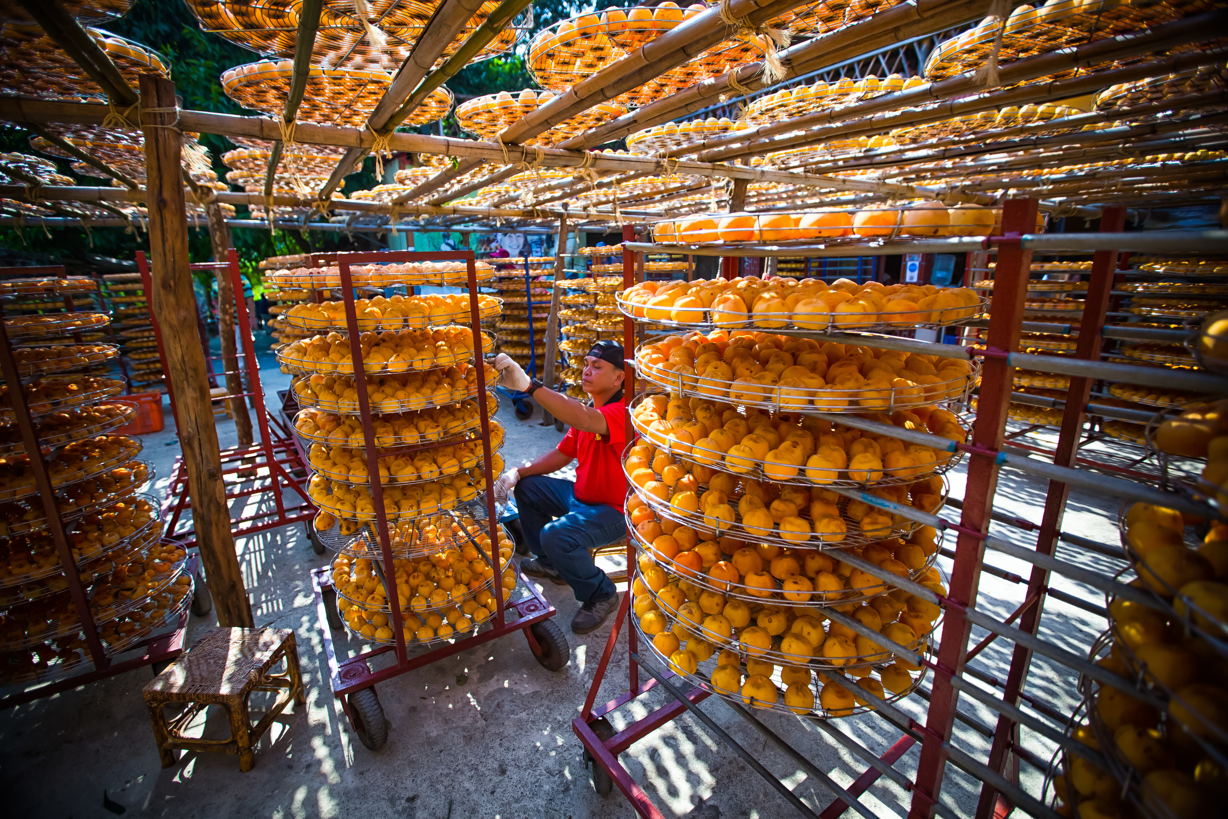 台灣在地小農果乾水：健康美味的天然補水飲品