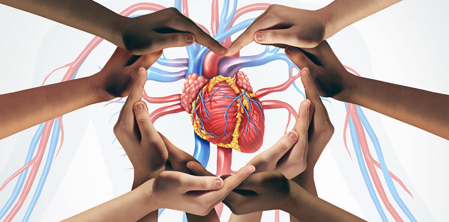 果乾水：助力心臟健康？專家深度解析