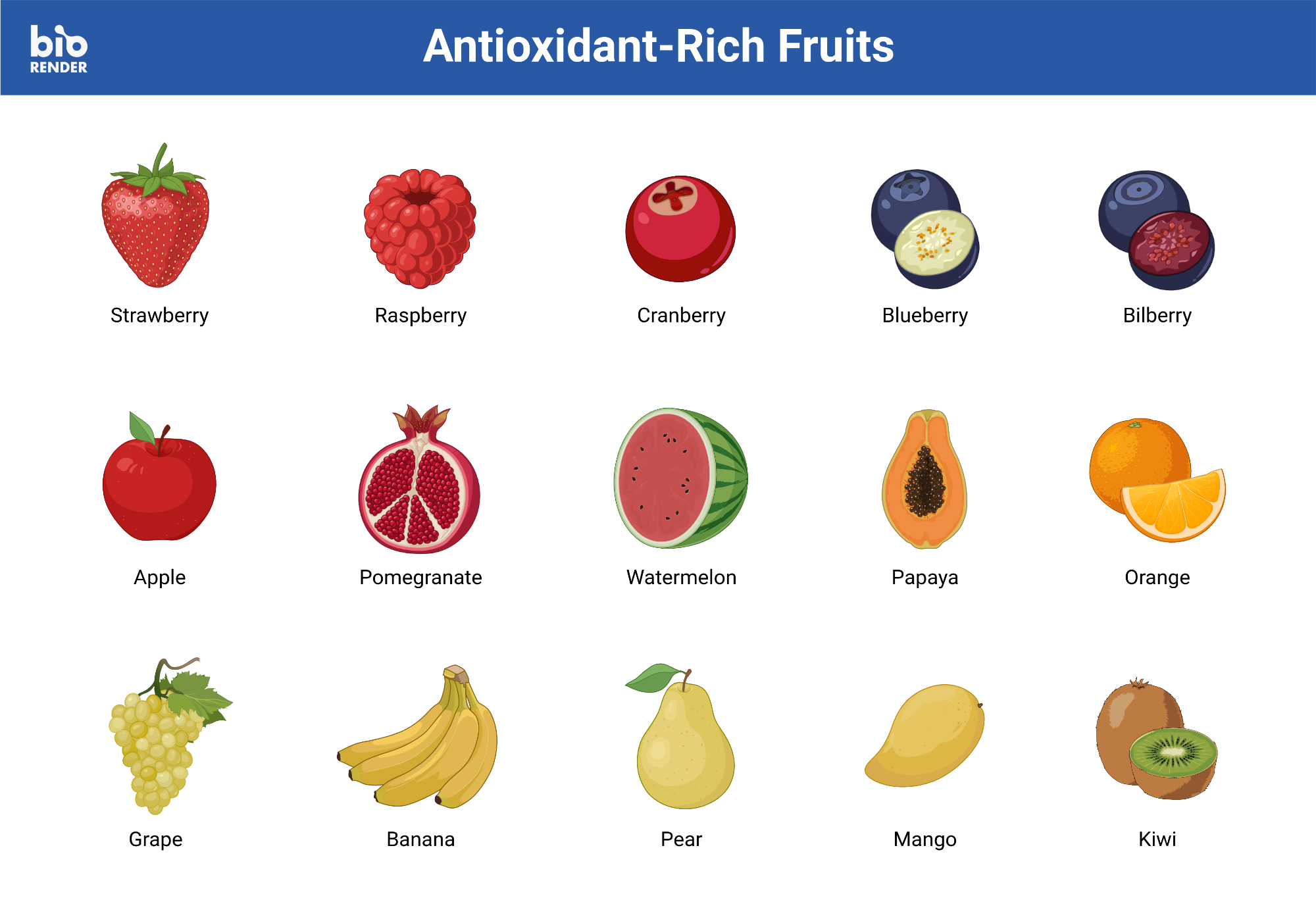 果乾水與免疫系統的提升：高效提升免疫力的完整教學