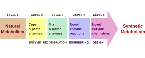 果乾水如何幫助調節新陳代謝？高效提升代謝率的秘訣！