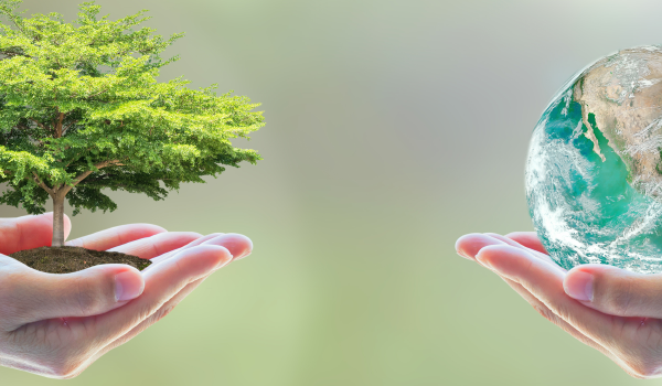 果乾水市場前景分析：投資策略與市場進入指南