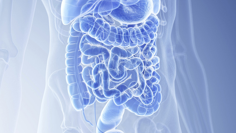 果乾水真的能幫助減少脹氣嗎？| 營養師揭秘脹氣緩解的真相與有效策略