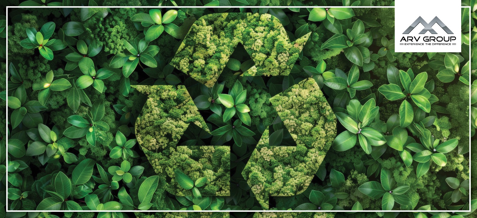 果乾水的綠色生活理念：高效自製果乾水完整教學與低碳飲食指南