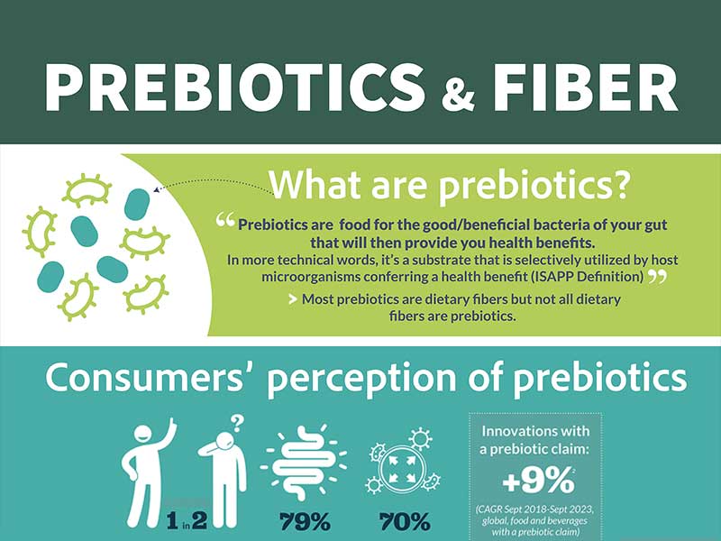 果乾水如何促進腸道菌群平衡？高效改善消化、增強免疫力的完整教學