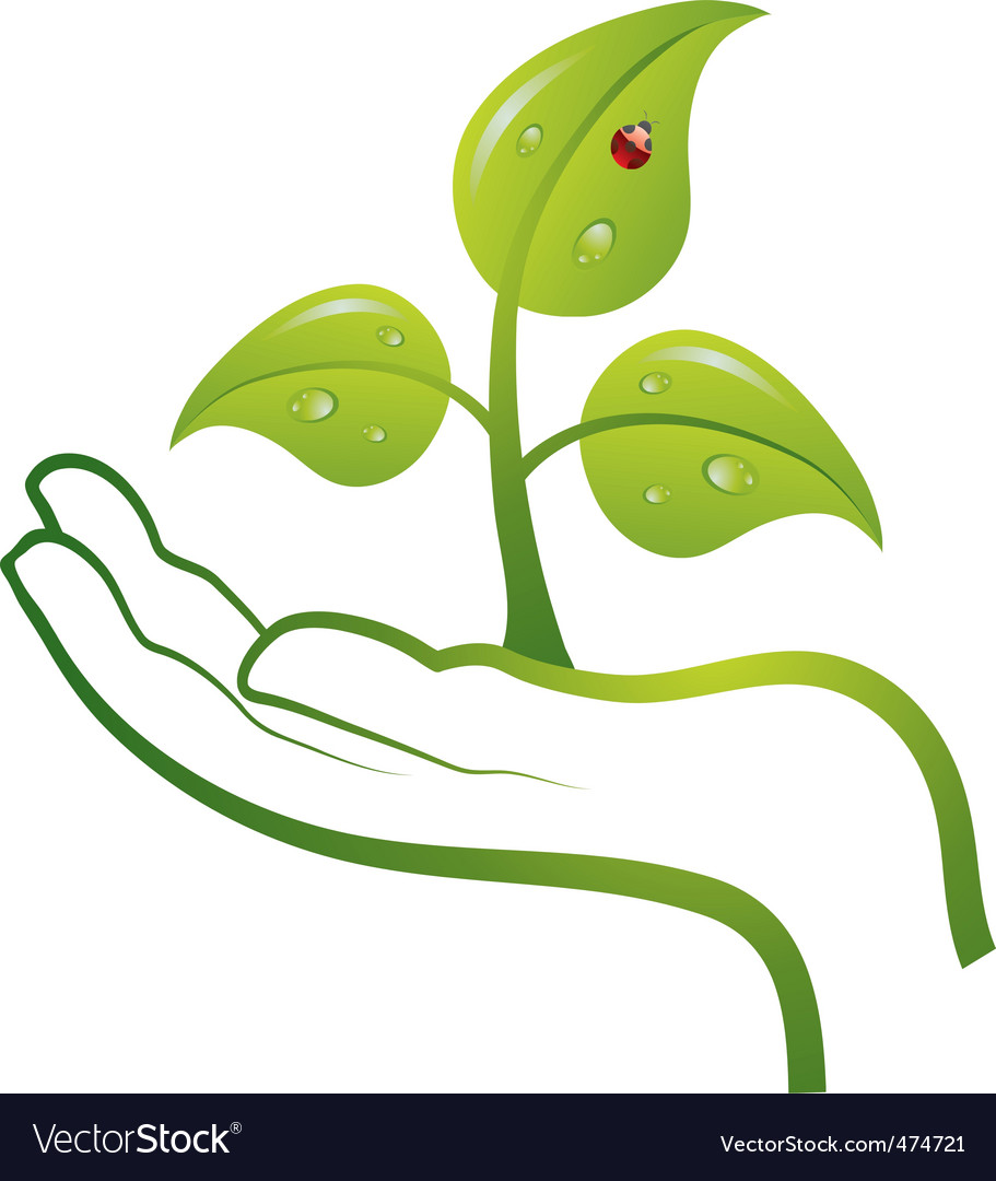 果乾水與綠色生活方式的融合：健康環保飲品指南