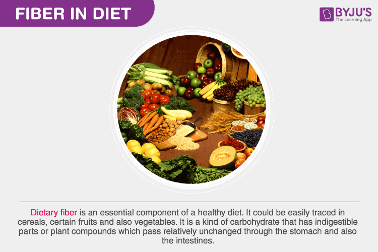 果乾水如何增強腸道健康？高效改善腸道菌群平衡的秘訣！