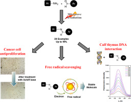 果乾水與運動後的抗氧化補充：高效恢復肌肉的秘訣