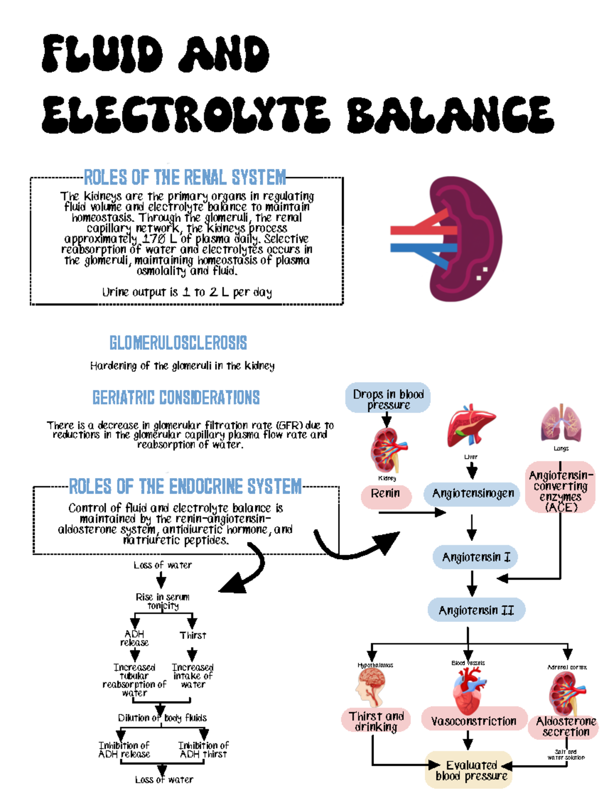 果乾水可以幫助消水腫嗎？哪些配方最有效？營養師教你高效消腫秘訣！