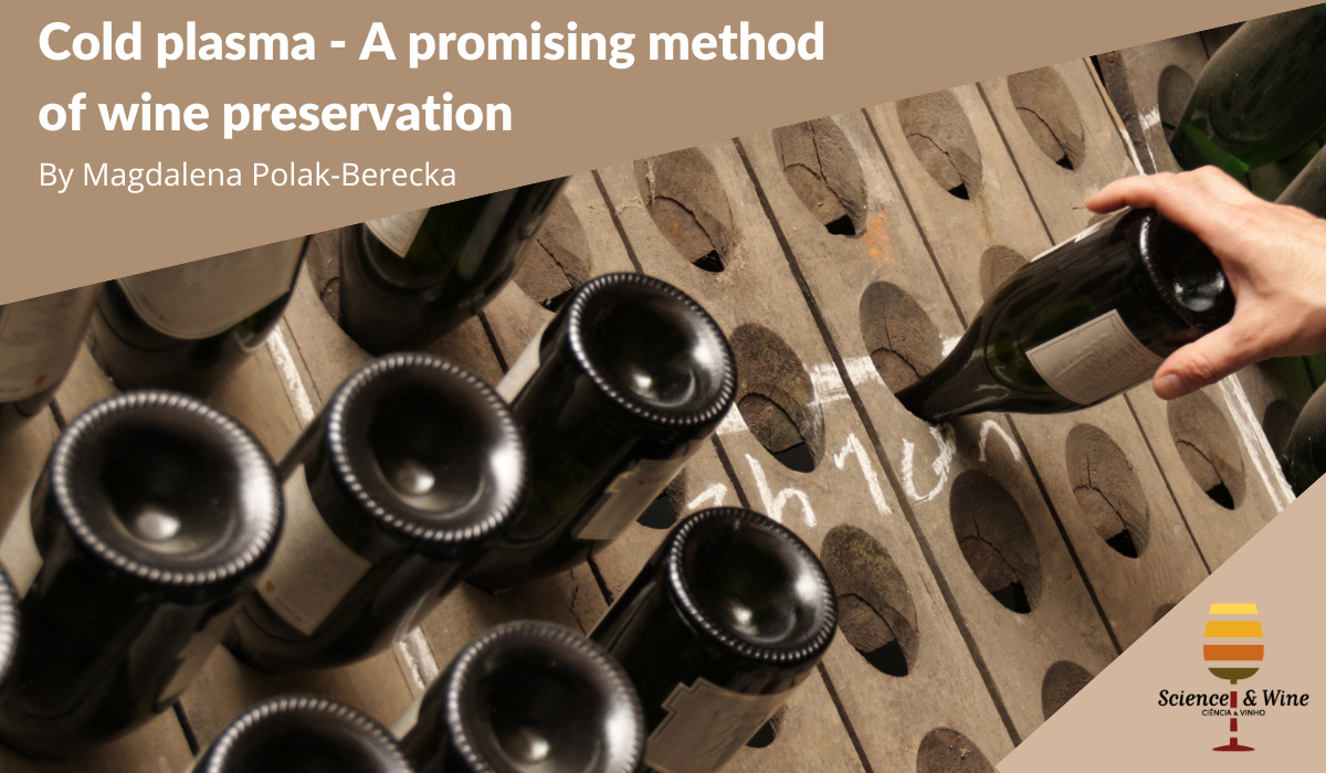 果乾水冷藏更保鮮 健康美味更持久