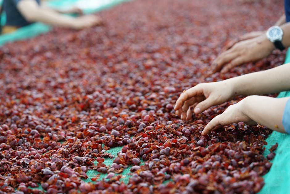 泡了一整天，果乾水的風味變化：從清香到濃郁，感受層次！
