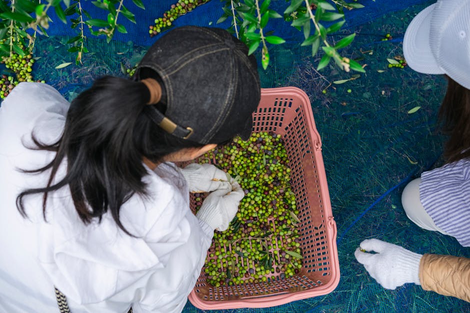 營養師解析：15種綜合酵素 vs. 專利非洲芒果籽，搞懂酵素選擇，健康不踩雷！