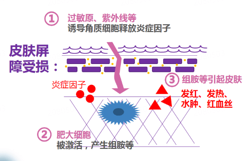 皮膚修復需要多久？ 影響修復速度的關鍵因素與高效護理技巧