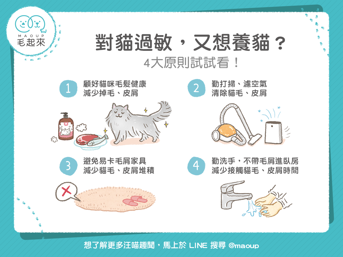 貓毛過敏者的舒緩指南：與愛貓和平共處的秘訣