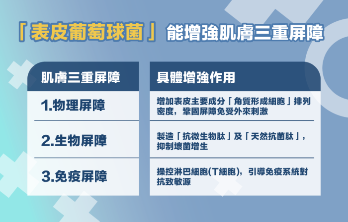 如何有效修復受損的肌膚屏障？皮膚科醫生教你高效重建健康肌膚！