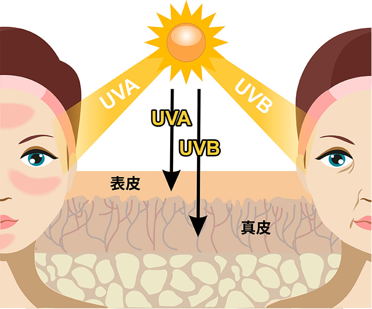 如何應對肌膚疲勞與壓力？高效抗老秘訣：抗氧化精華+按摩完整教學