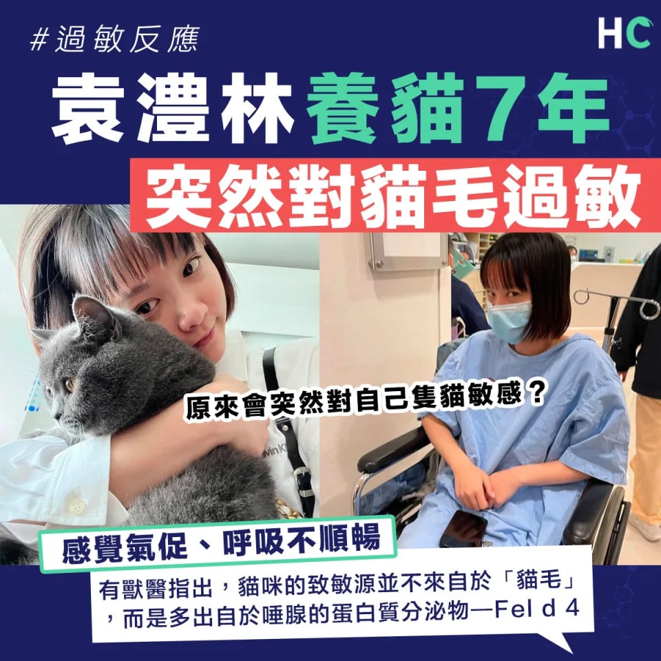 貓咪過敏元兇大公開：揭曉人為什麼對貓過敏？