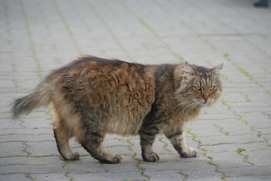 熱蠟除毛對痘痘肌的影響：皮膚科醫師教你安心除毛