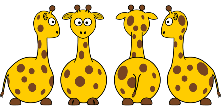 giraffes