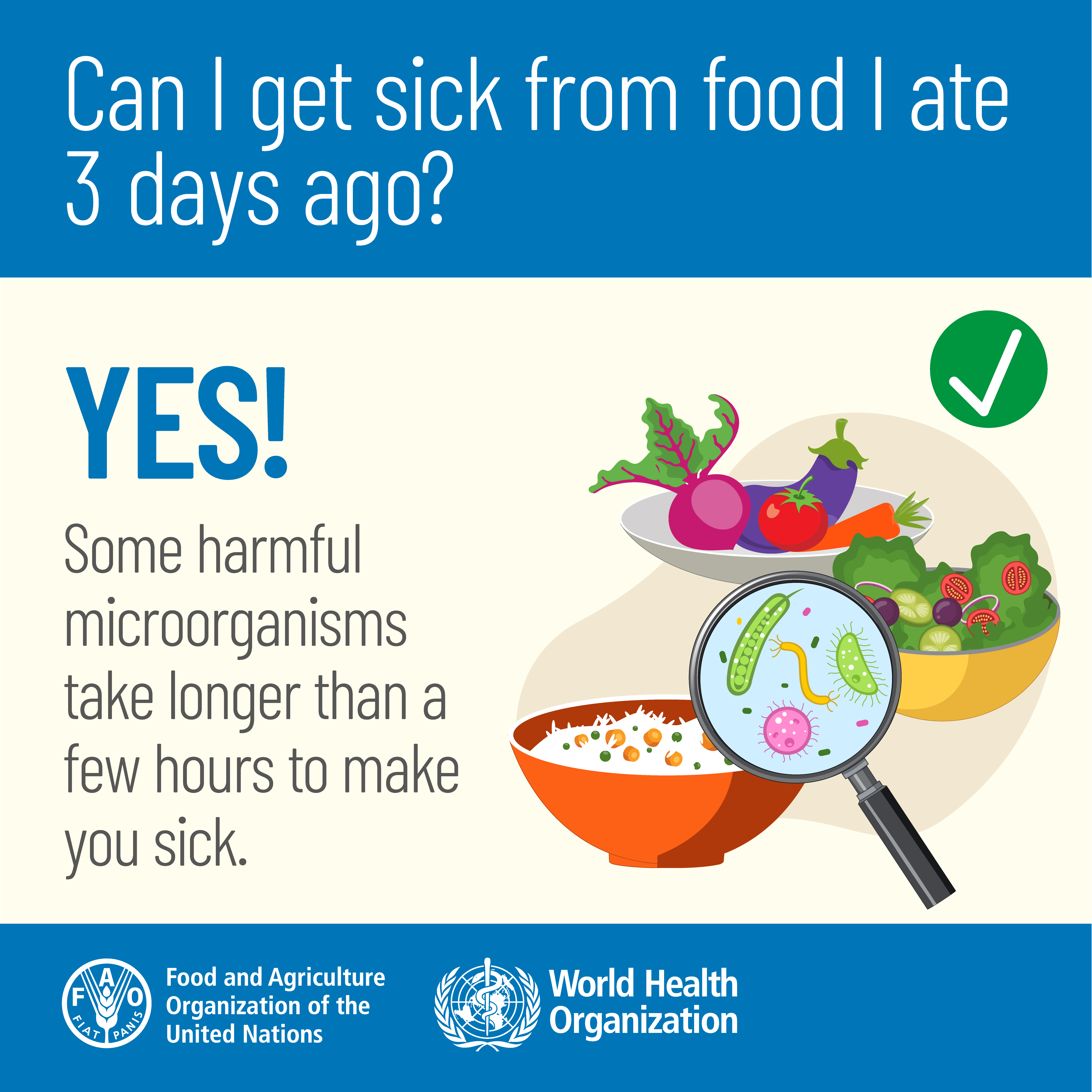 葡眾樟芝益的產品安全性：完整評估及安全選購指南